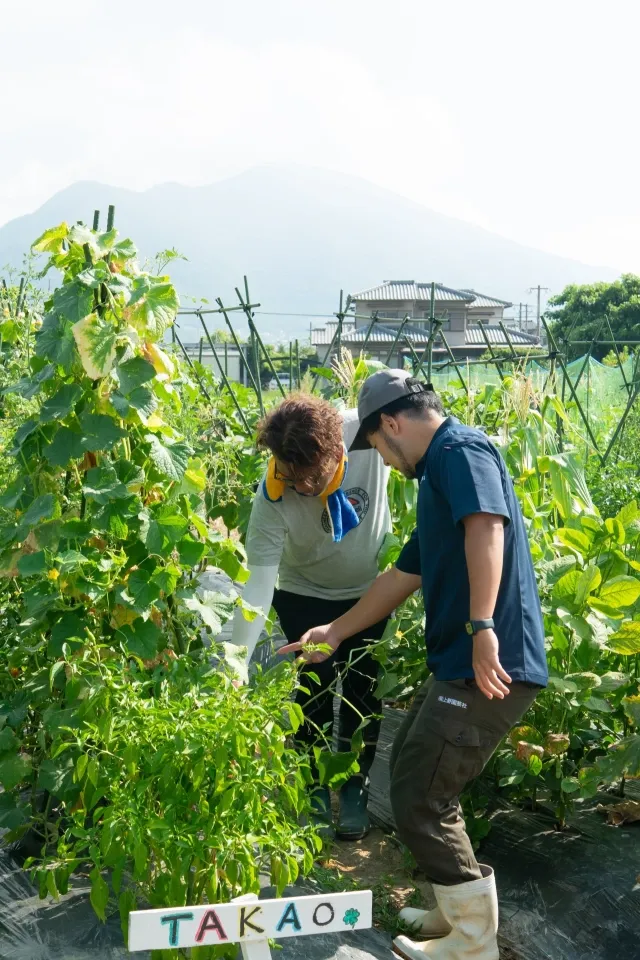 農業指導の様子