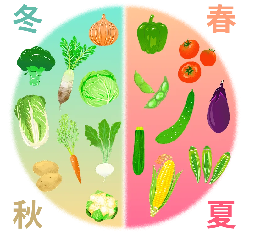 季節の野菜イメージ